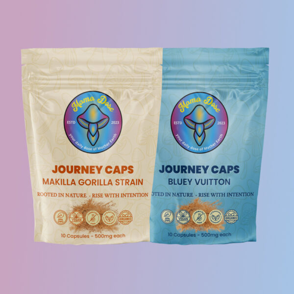 Intergalactic Bundle - Image 10