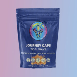 Journey Caps Tidal Wave