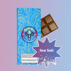 Mushroom Chocolate Bar: 5g Journey Bar