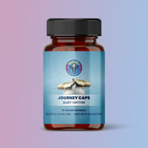 Journey Caps Bluey Vuitton