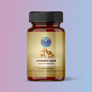 Journey Caps Golden Teacher