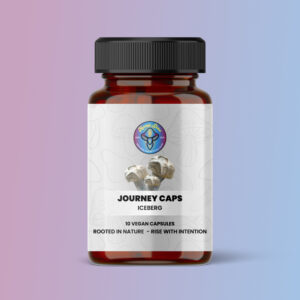 Iceberg Journey Caps