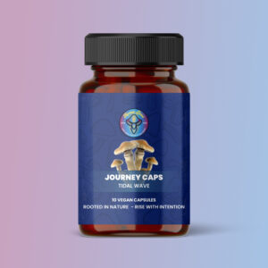 Journey Caps Tidal Wave