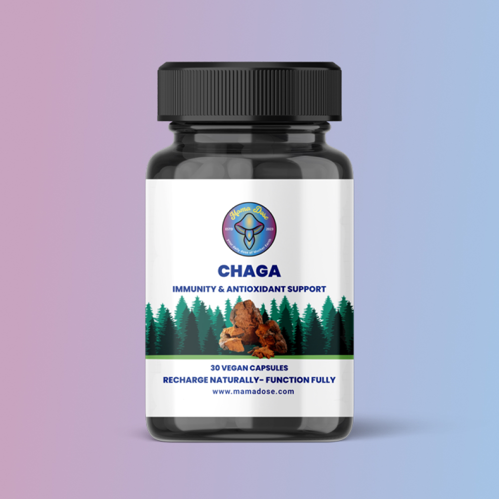 chaga 1