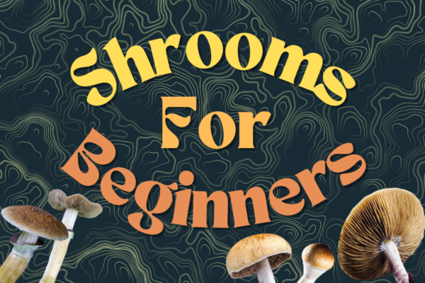 Shrooms For Beginners - What You Need to Know - Mamadose
