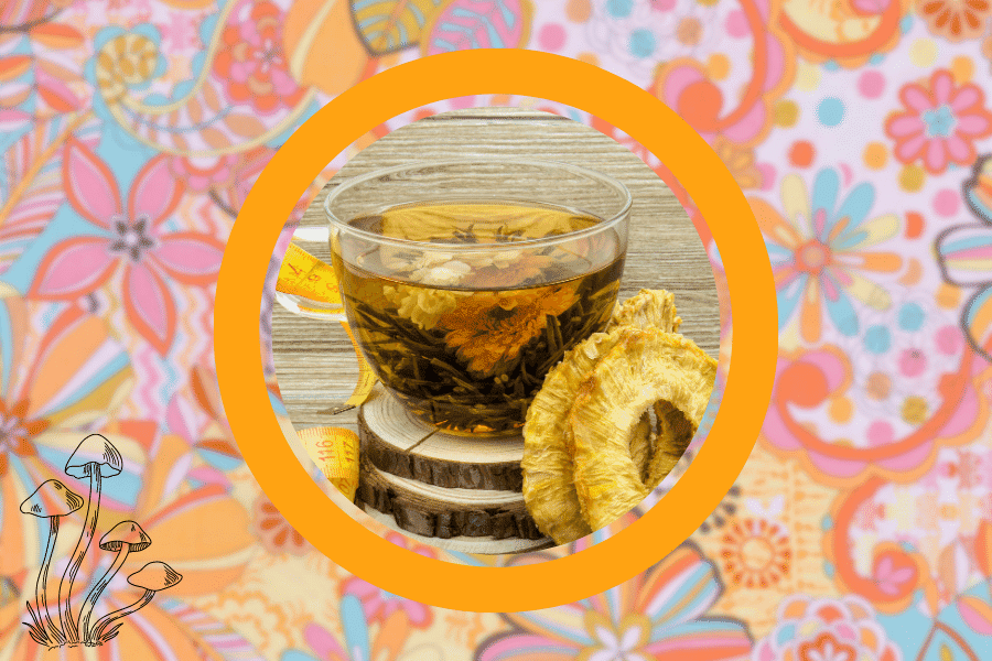 tropical magic mushroom tea recipe