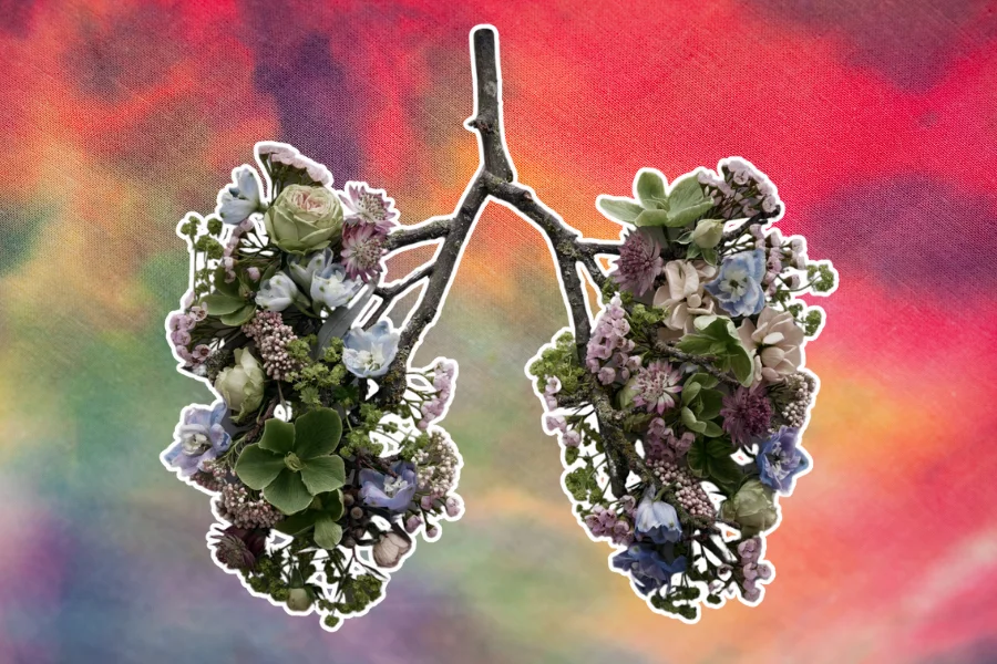 Flowers in the shape of lungs depicting breathwork while microdosing