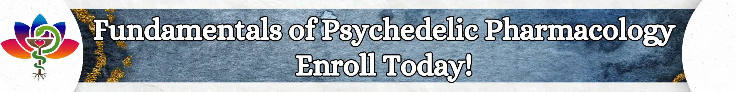 Fundamentals of Psychedelic Pharmacology banner with Spirit Pharmacist logo