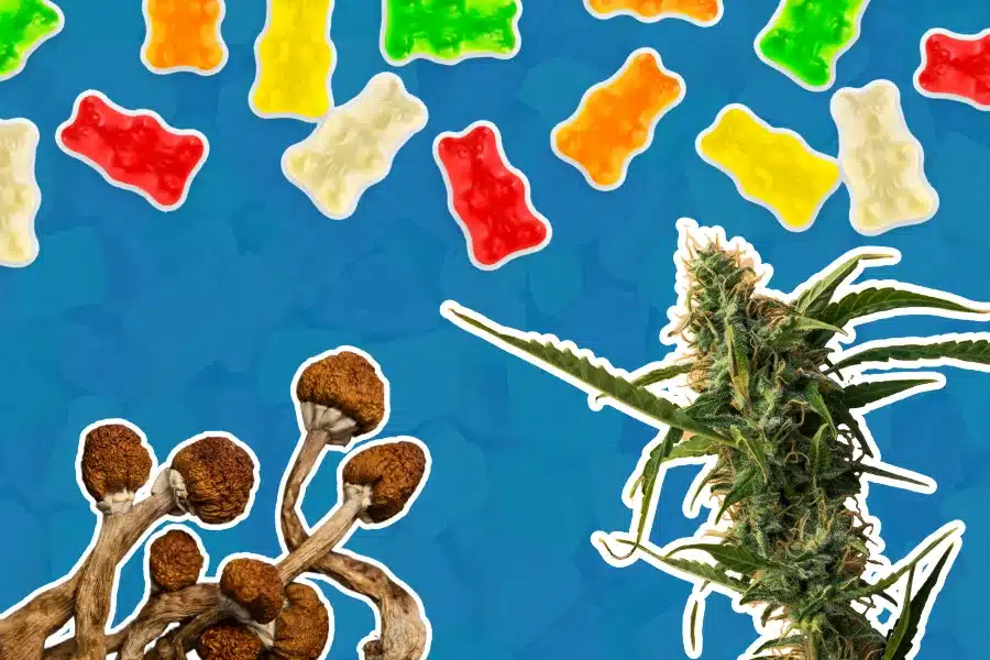 A variety of colorful microdosing gummies, mushrooms, and a cannabis plant rest on a vibrant blue background.