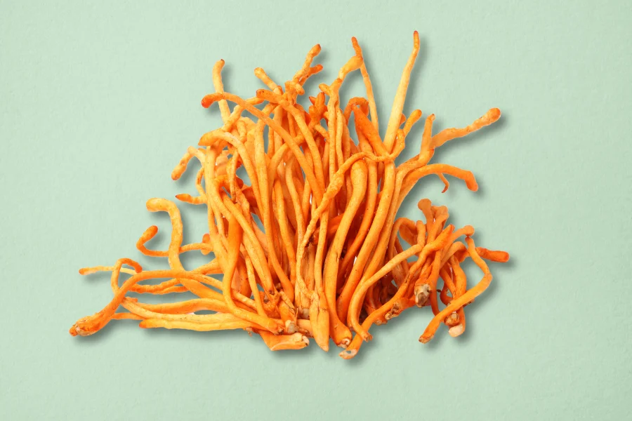 cordyceps mushrooms