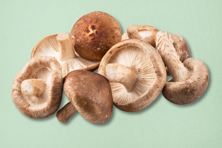 shiitake functional mushrooms