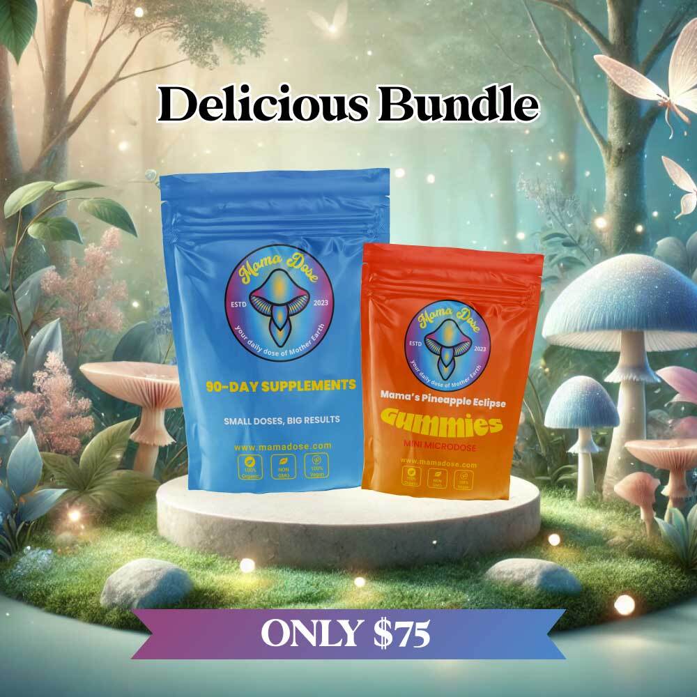 In a magical forest, two supplement pouches are displayed: the blue 90-day supplements and the orange Pineapple Eclipse gummies. The text reads "Journey - Guide Bundle" and "Only $75.