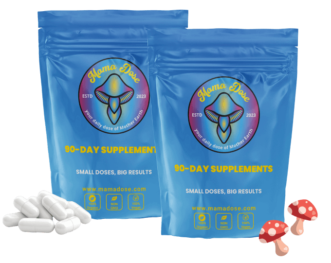 Two blue pouches labeled "90-Day Supplements" with capsules next to them and cartoon mushrooms.