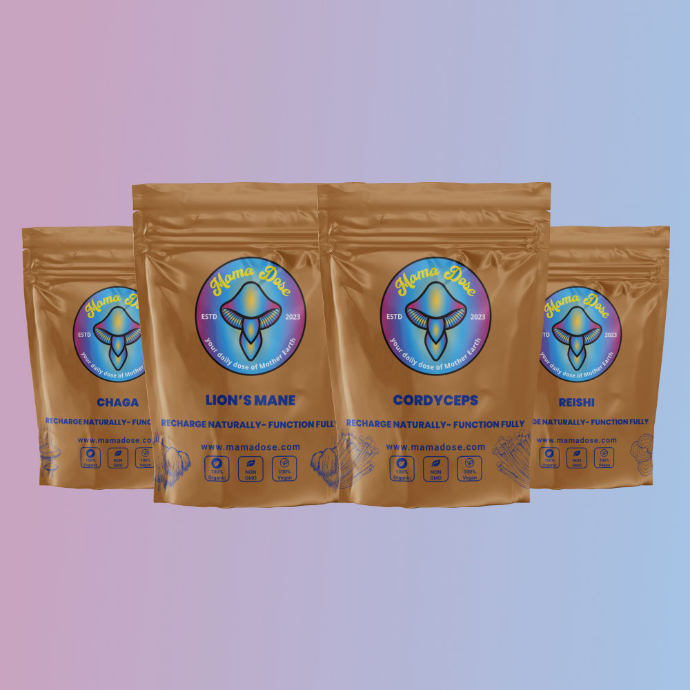 Four brown bags of mushroom powder: Chaga, Lion's Mane, Cordyceps, and Reishi, with colorful labels on a pink and blue background.