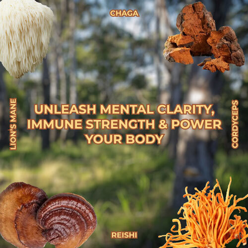 Mushrooms and fungi varieties: lion's mane, chaga, reishi, and cordyceps surround text promoting mental clarity, immune strength, and body power, set against a blurred forest background.