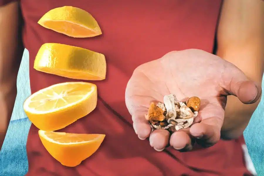 how does lemon tek work