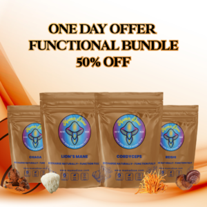 Promotional image for a functional mushroom bundle featuring Lion's Mane, Cordyceps, Chaga, and Reishi with a "One Day Offer 50% Off" text.