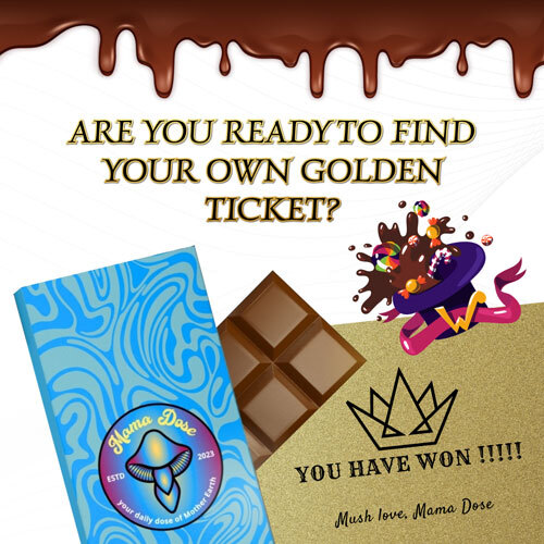 Chocolate bar with a blue wrapper beside a golden ticket. Text reads, "Are you ready to find your own golden ticket?" and "You have won!!!! Mush love, Mama Dose.