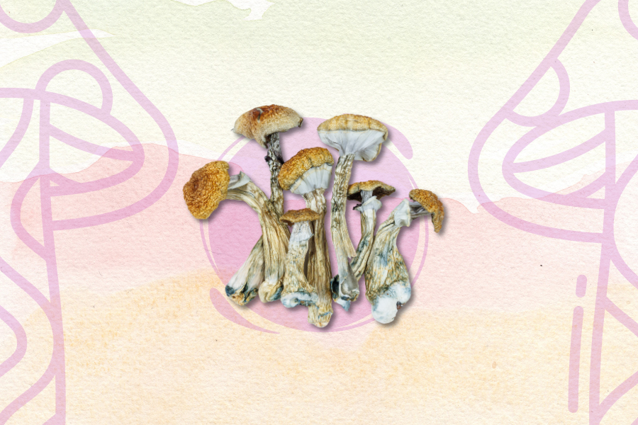 Mushrooms with light caps and stems, arranged against a pastel background with pink and yellow pattern details.