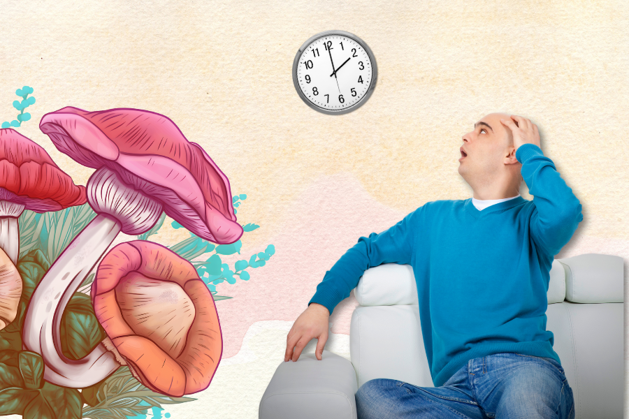 A man sitting on a couch looks surprised at a clock showing 3:00. Large colorful mushrooms grow beside him.