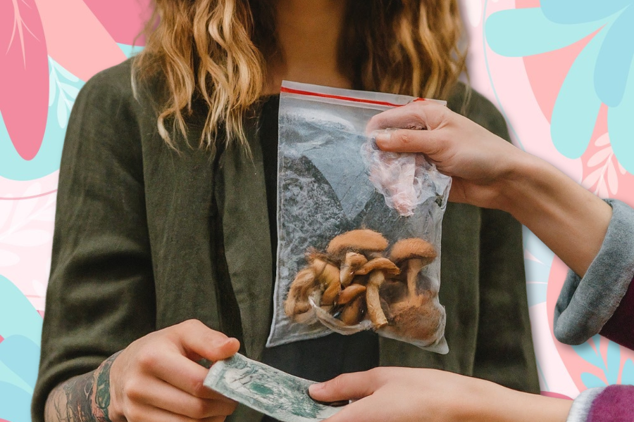 A person discreetly completes a transaction, exchanging a bag of mushrooms for money with another individual, subtly illustrating the question on many minds: where to buy shrooms.