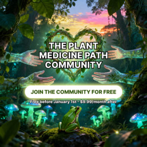 pmp community fb ad 4