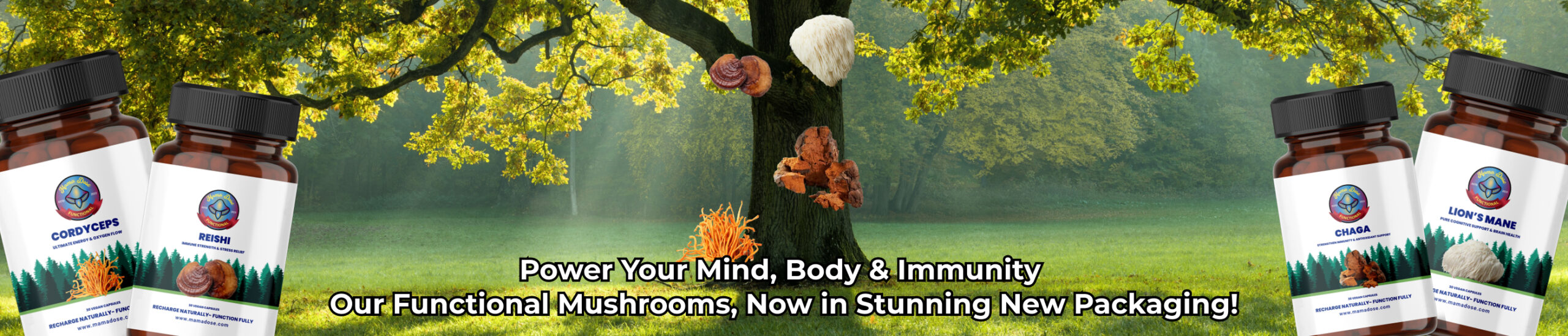 Bottles of functional mushroom supplements, ideal for microdosing, are displayed on either side of a tree with various mushrooms growing on its trunk in a forest. Text promotes the new packaging for these products.