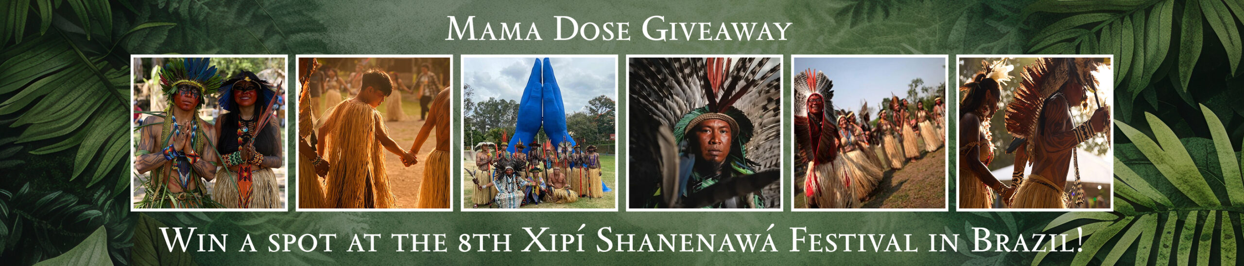 Banner promoting the Mama Dose Giveaway, featuring microdosing inspiration with photos of people in traditional attire and text about winning a spot at the 8th Xipí Shanenawá Festival in Brazil.