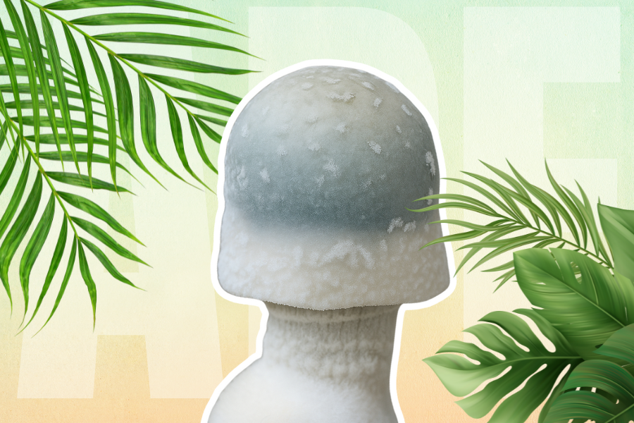 APE Mushroom on a pastel background decorated with leaves