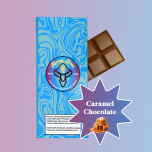 Mushroom Chocolate Bar: Salted Caramel Journey Bar