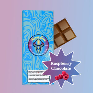 Mushroom Chocolate Bar: Raspberry Journey Bar