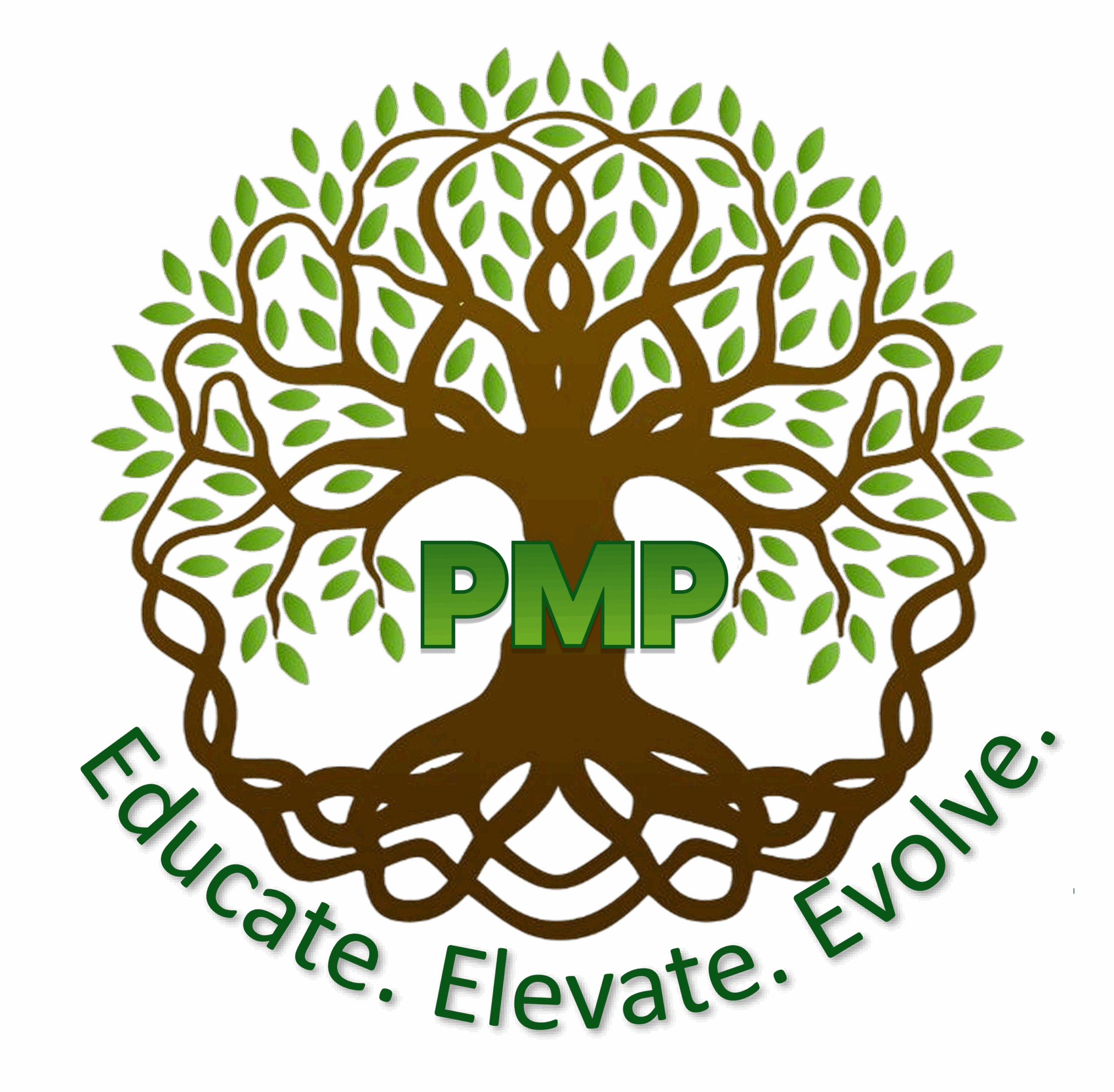 pmp logo new png scaled