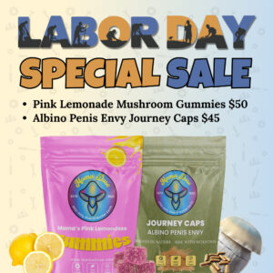 labor day sale 1x1 1