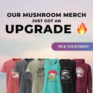 new merch drop tshirts and hoodie 1x1 banner