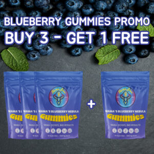 31 blueberry 1x1 1