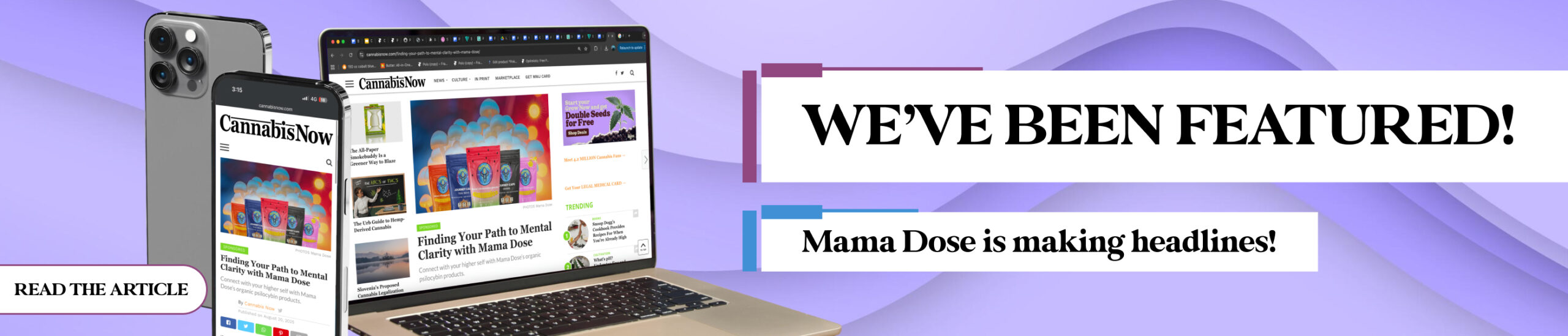 cannabis now article feature banner scaled