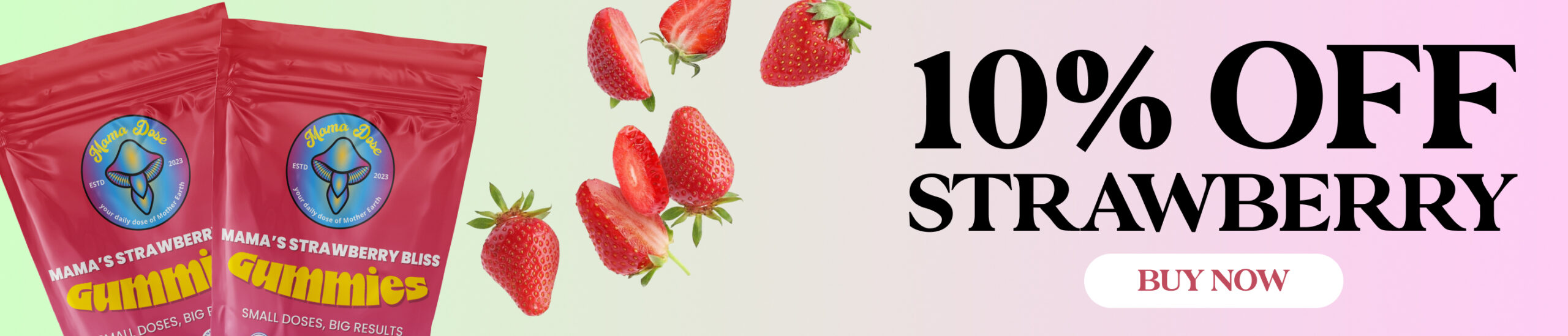 10 off strawberry banner 1 scaled