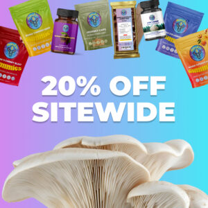 20 off sale 1x1 1