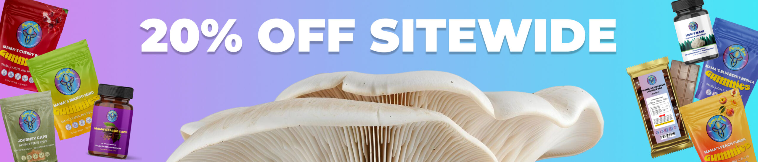 20 off sale banner 1 scaled