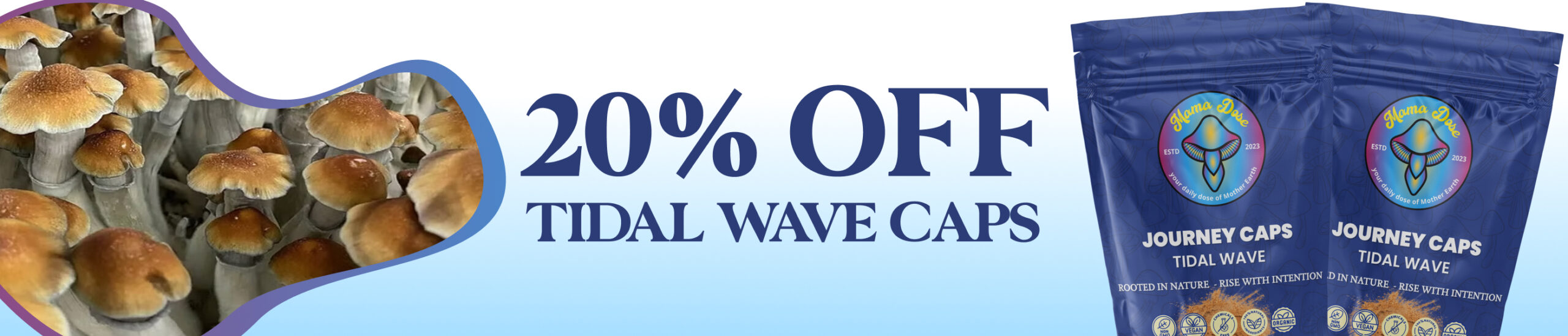 20 tidal wave banner scaled