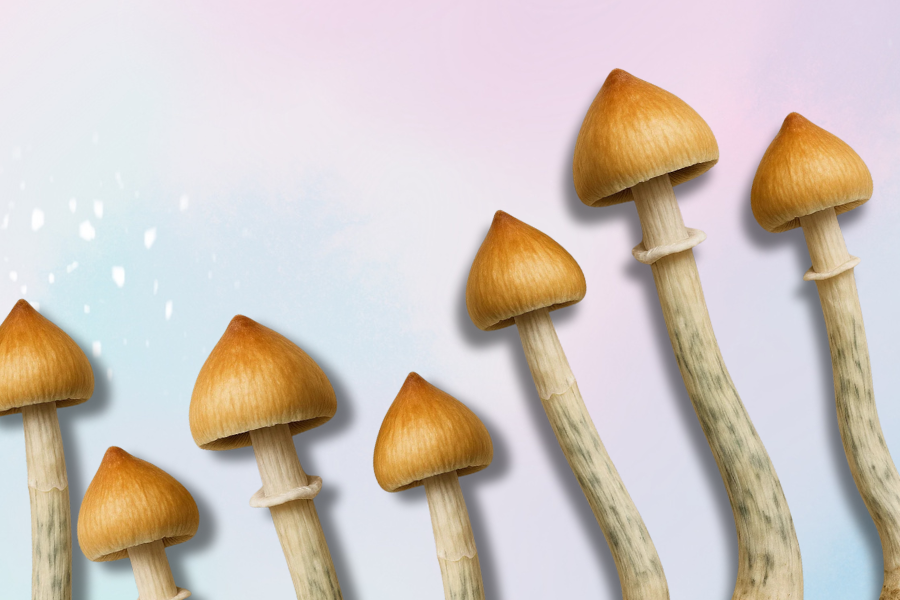 different amount of magic mushrooms depicting What to Expect in a 1 g, 2 g, and 3 g Psilocybin Journey