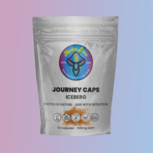 Iceberg Journey Caps