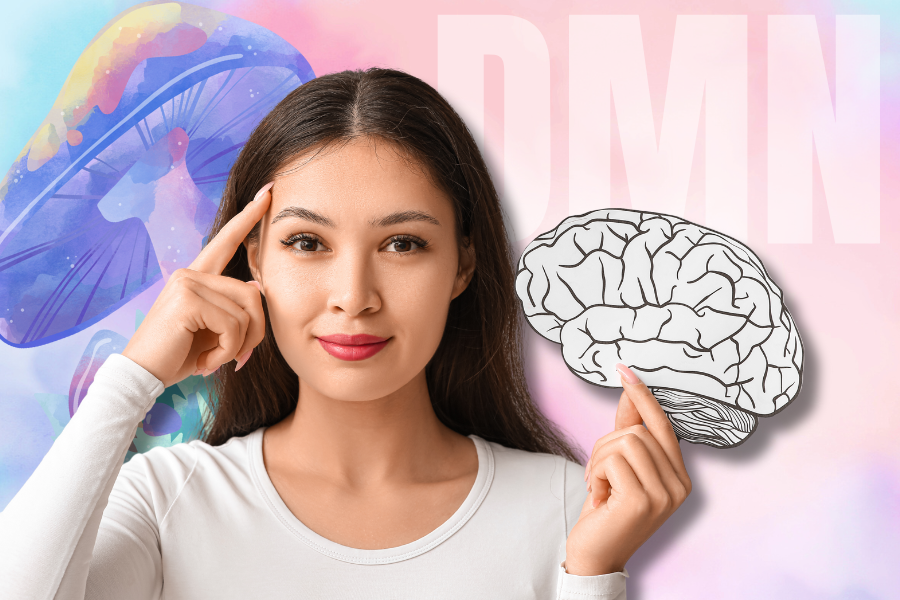 A woman holding a paper brain and pointing at the brain, behind her there is a DMN written in white and a mushroom.