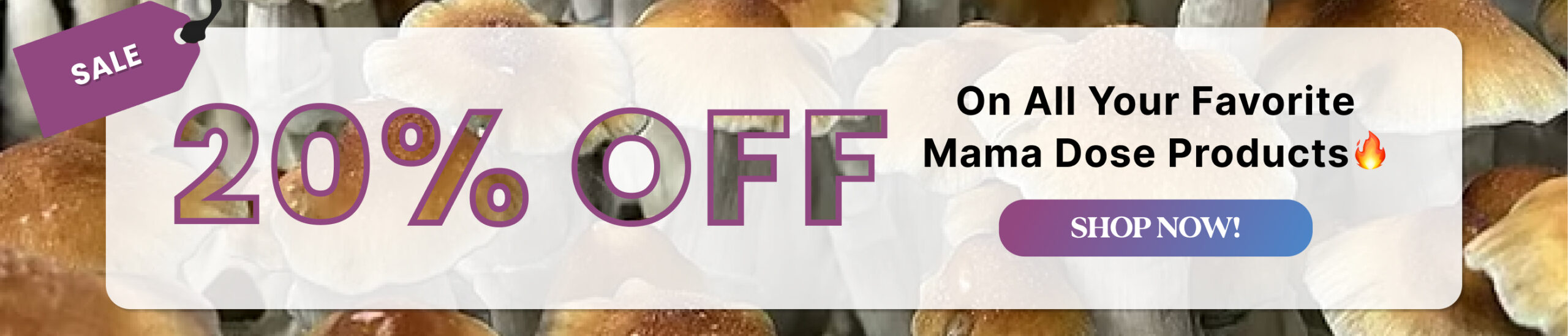 20 off sale template banner scaled