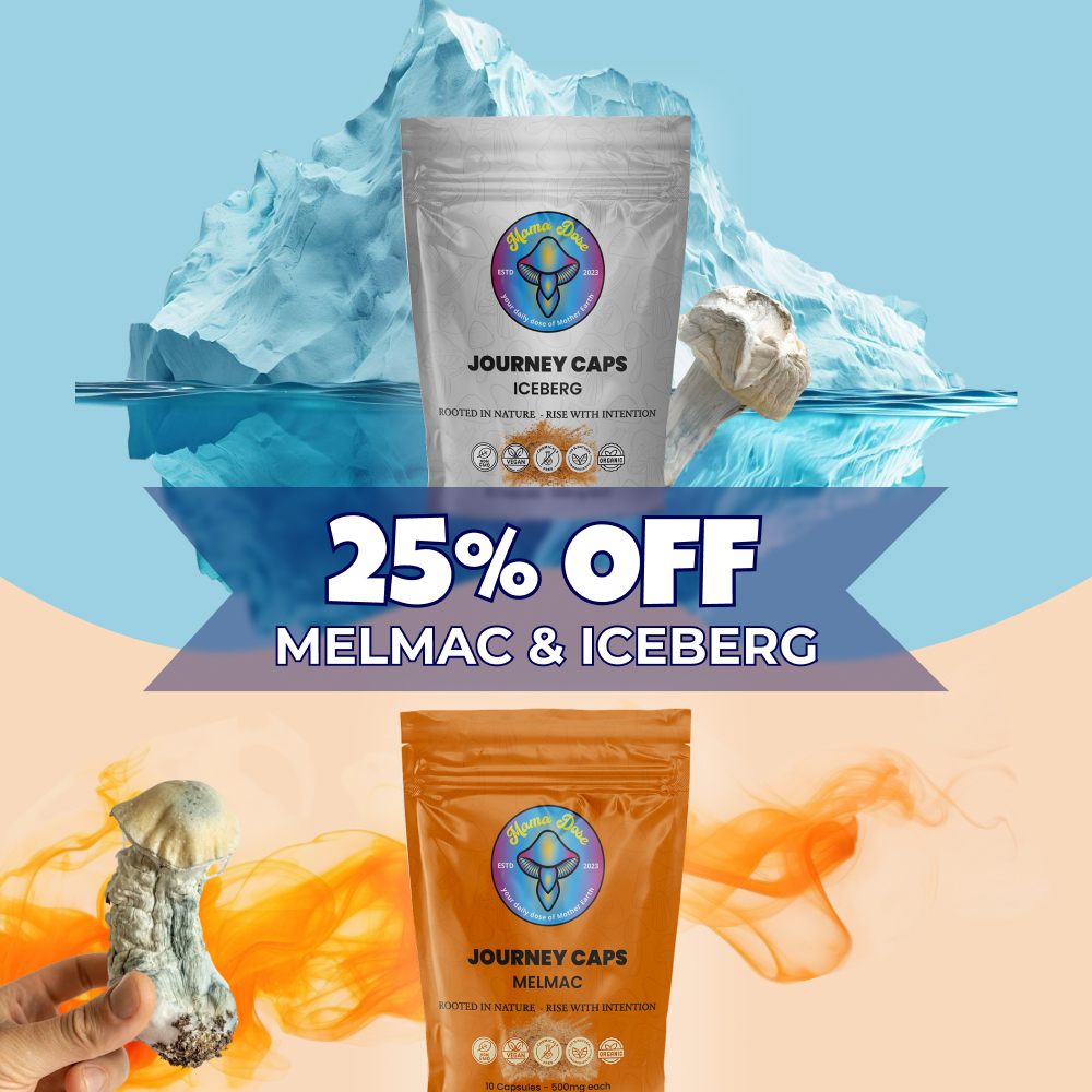 25 off new journey caps 1x1 1