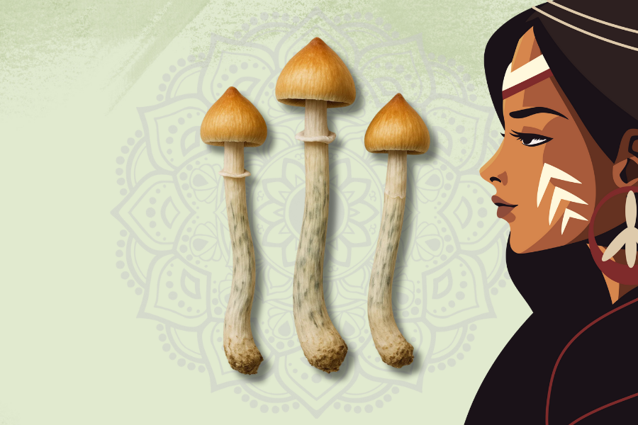 
An illustration of three dried Psilocybe cubensis mushrooms (a source of psilocybin) positioned next to a stylized depiction of an Indigenous woman's profile, who has traditional face paint. A subtle mandala pattern is in the light green background, referencing The-History-of-Psilocybin-Use-in-Indigenous-Cultures.