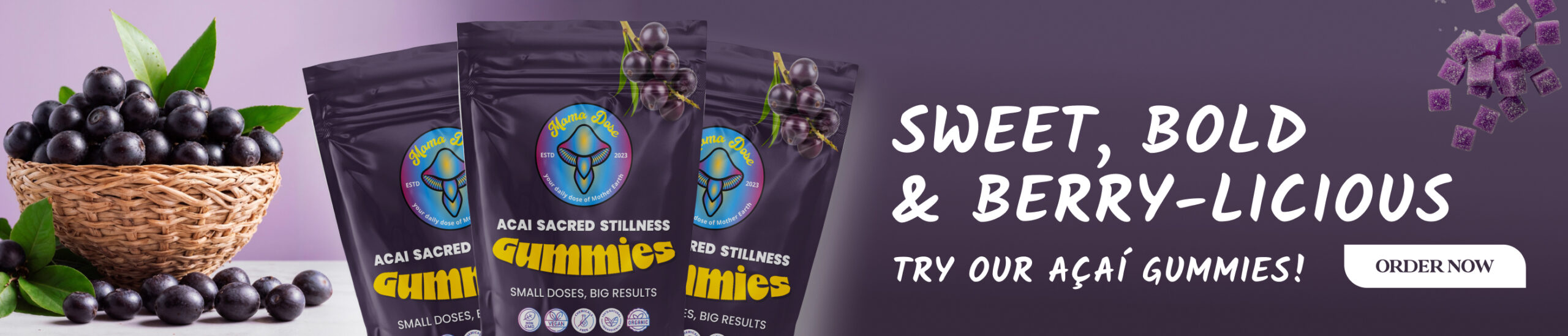 acai gummies launch banner scaled