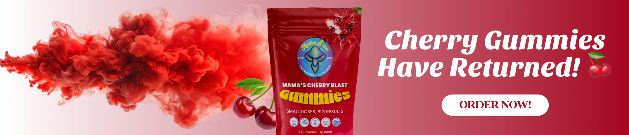 cherry return banner scaled