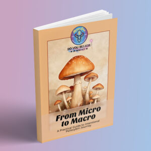 From Micro to Macro - A Practical Guide to Intentional Psilocybin Journey