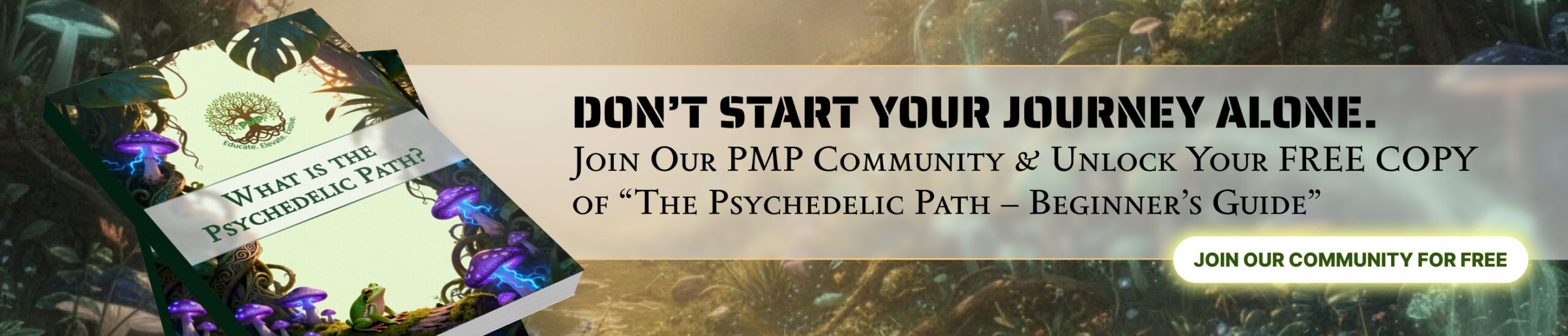 join pmp community and get free beginners guide web banner scaled